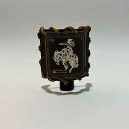Black Bandana Bronc Nightlight