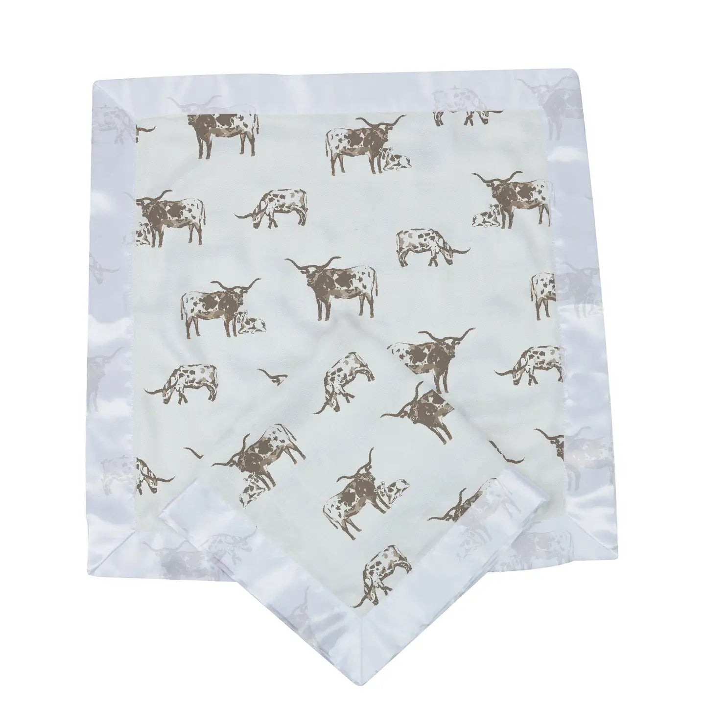 Texas Longhorn Blankie