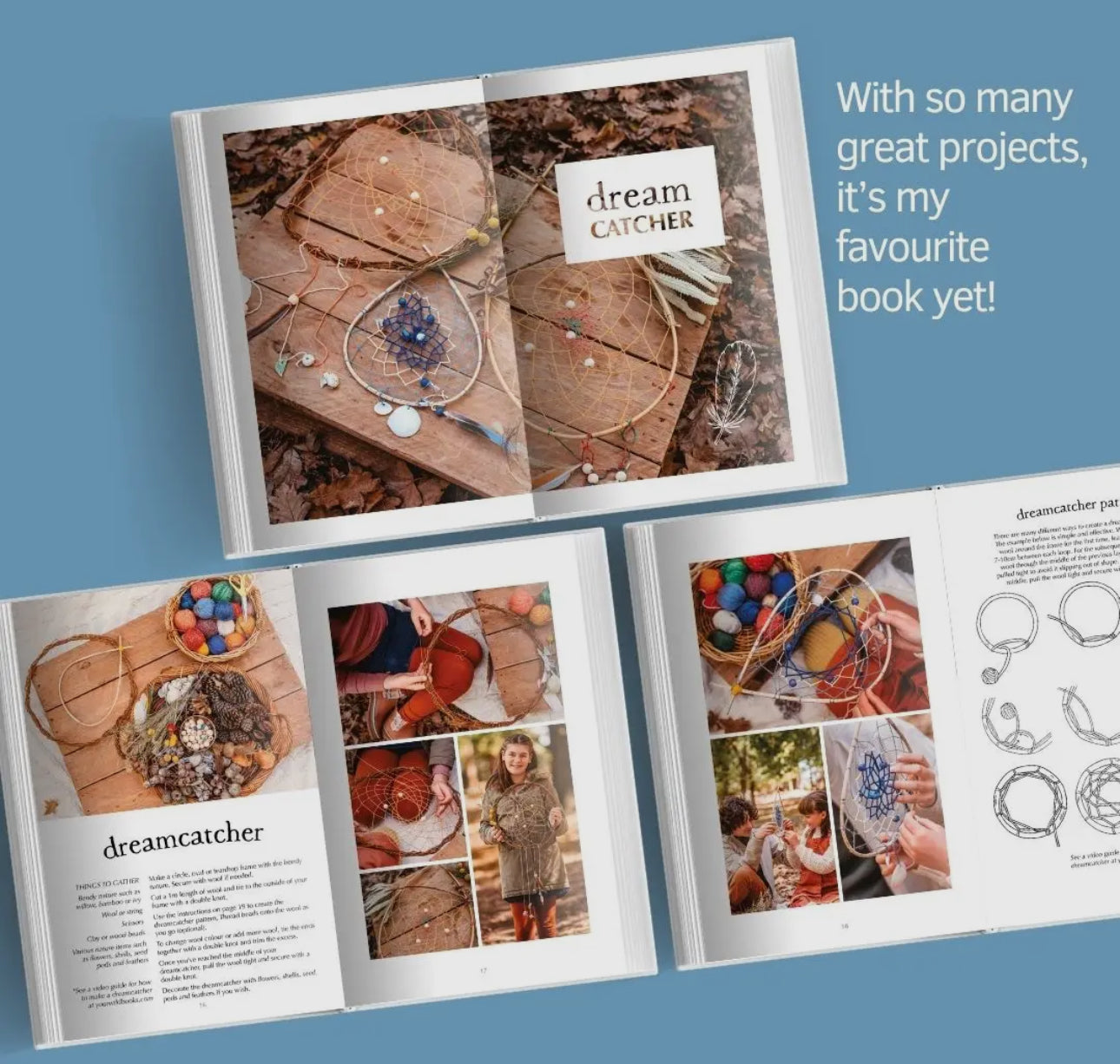 Your Wild Book series