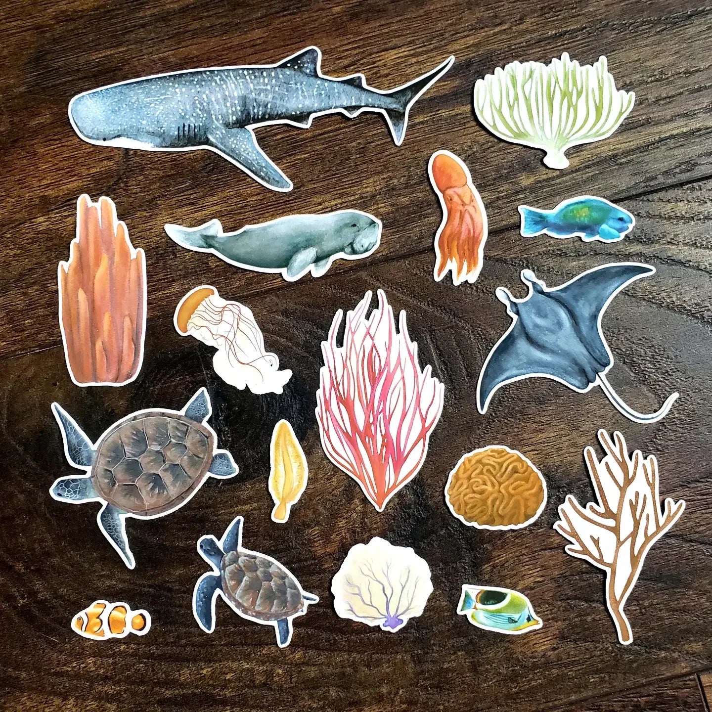 Coral Reef Sticker Pack