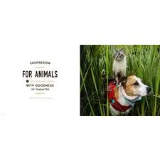 Our Wild Tails: the Adventures of Henry & Baloo