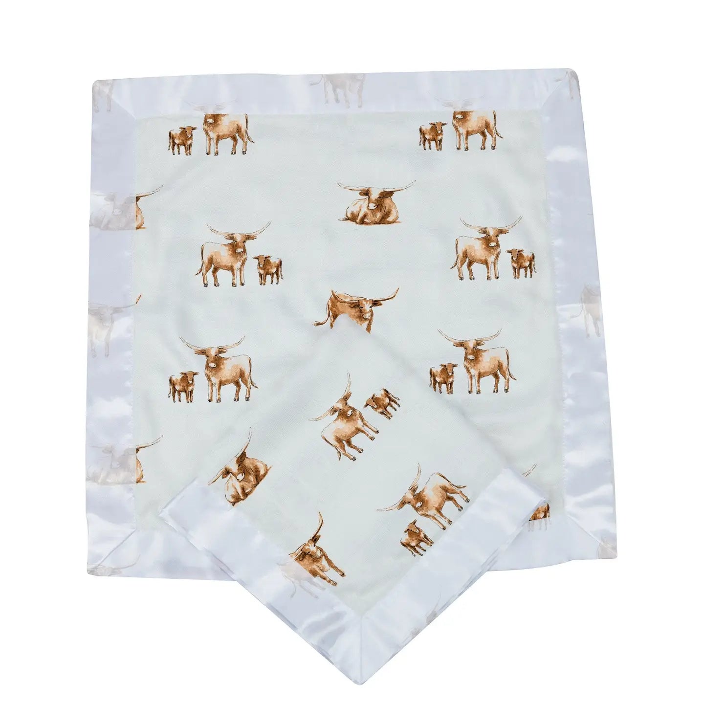 Longhorn Blankie