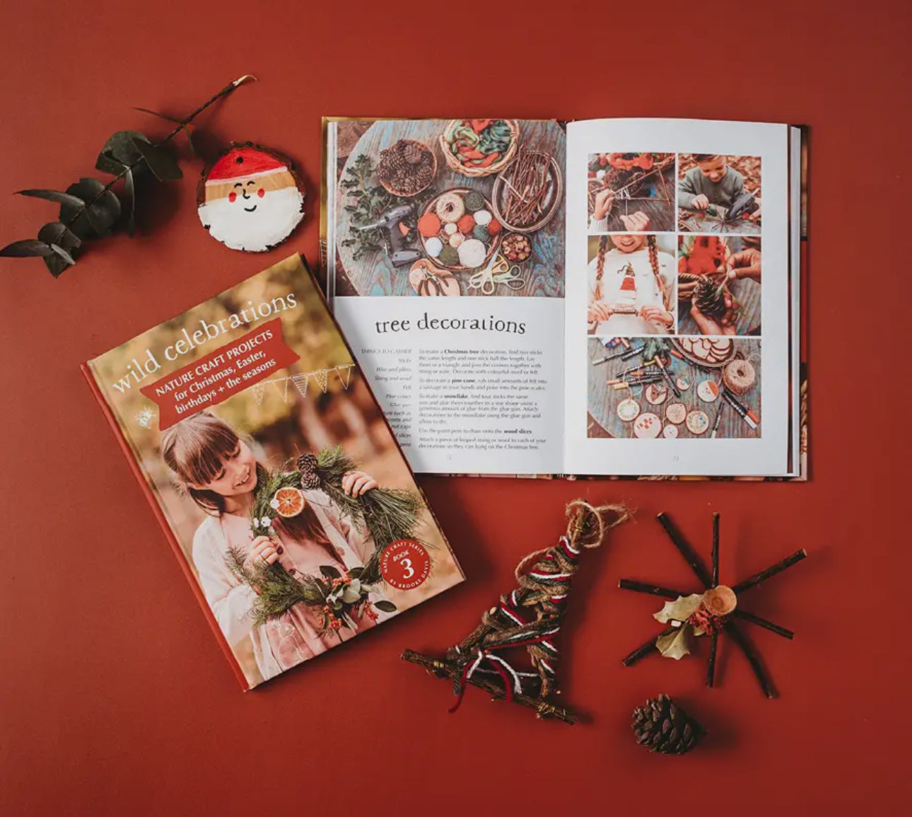 Your Wild Book series