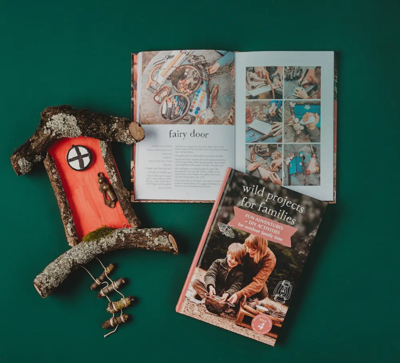 Your Wild Book series