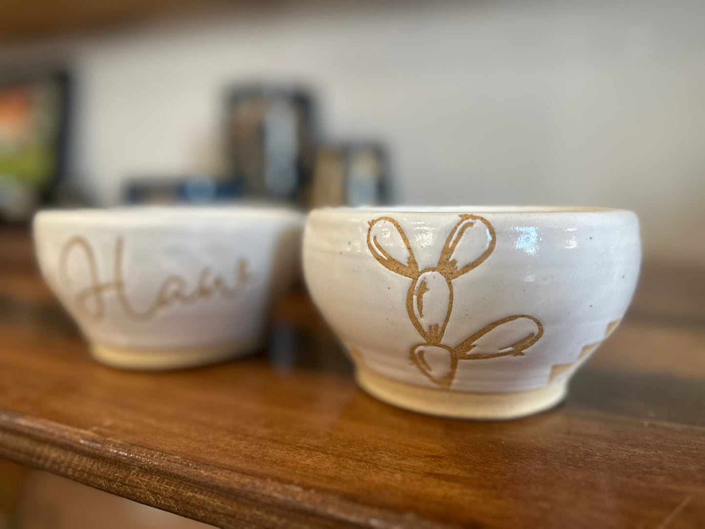 Yee haw bowl set (2)
