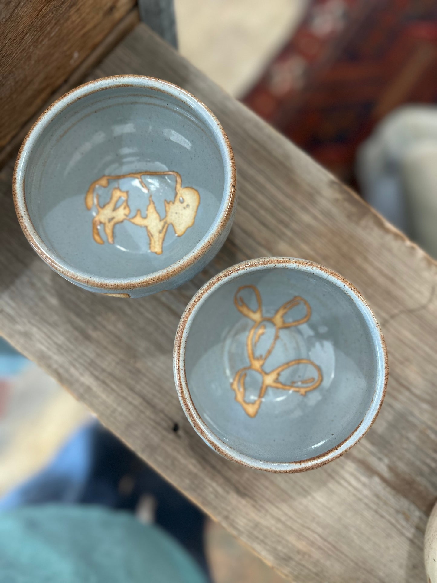 Prickly Bison bowl set (2)