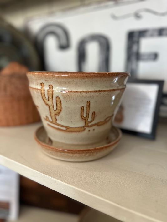 Small desert planter