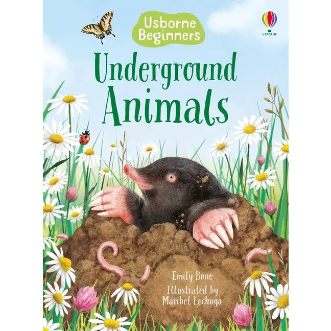 Usborne Beginners: Reptiles and Underground Animals