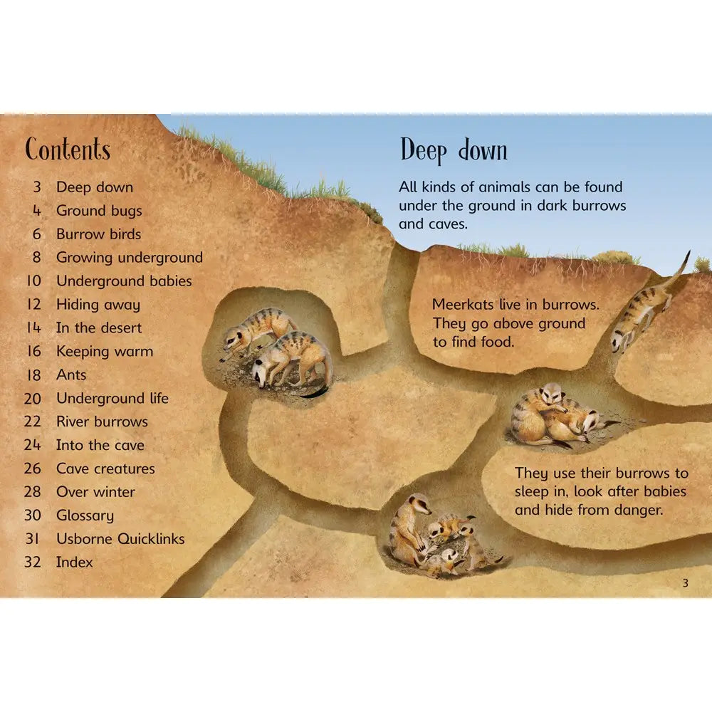 Usborne Beginners: Reptiles and Underground Animals