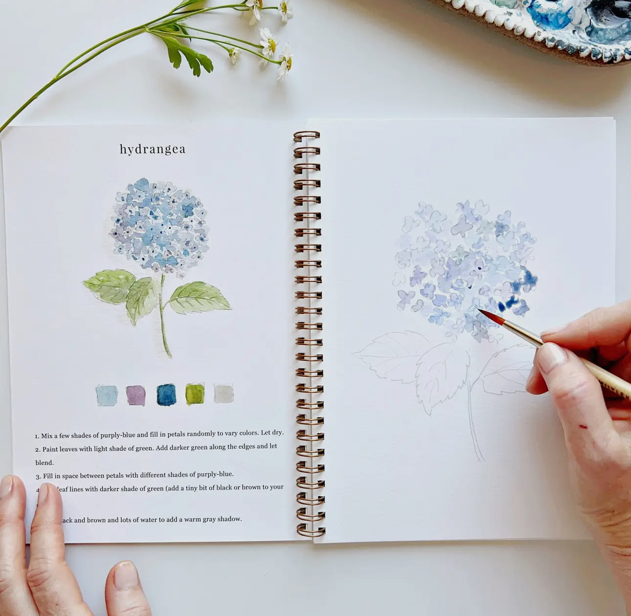 Watercolor Workbooks