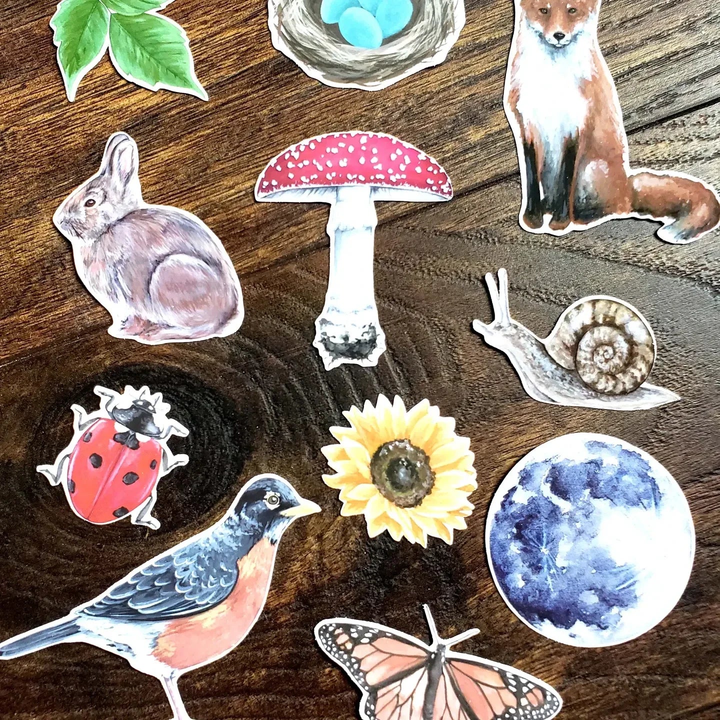 Backyard Nature Sticker Pack