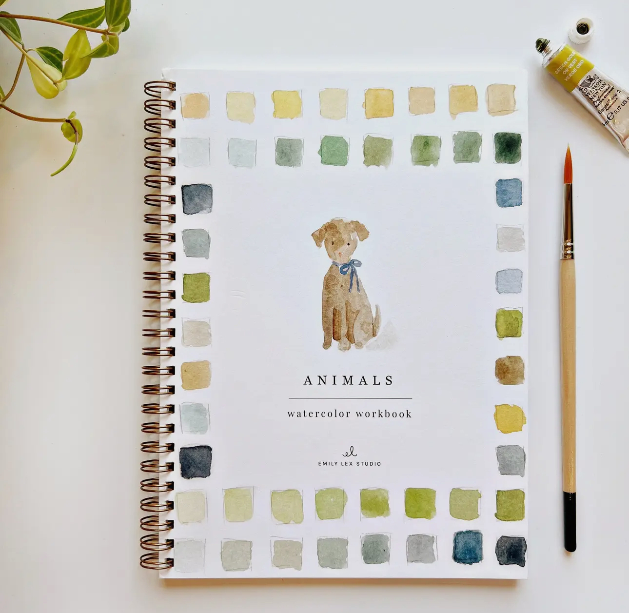 Watercolor Workbooks