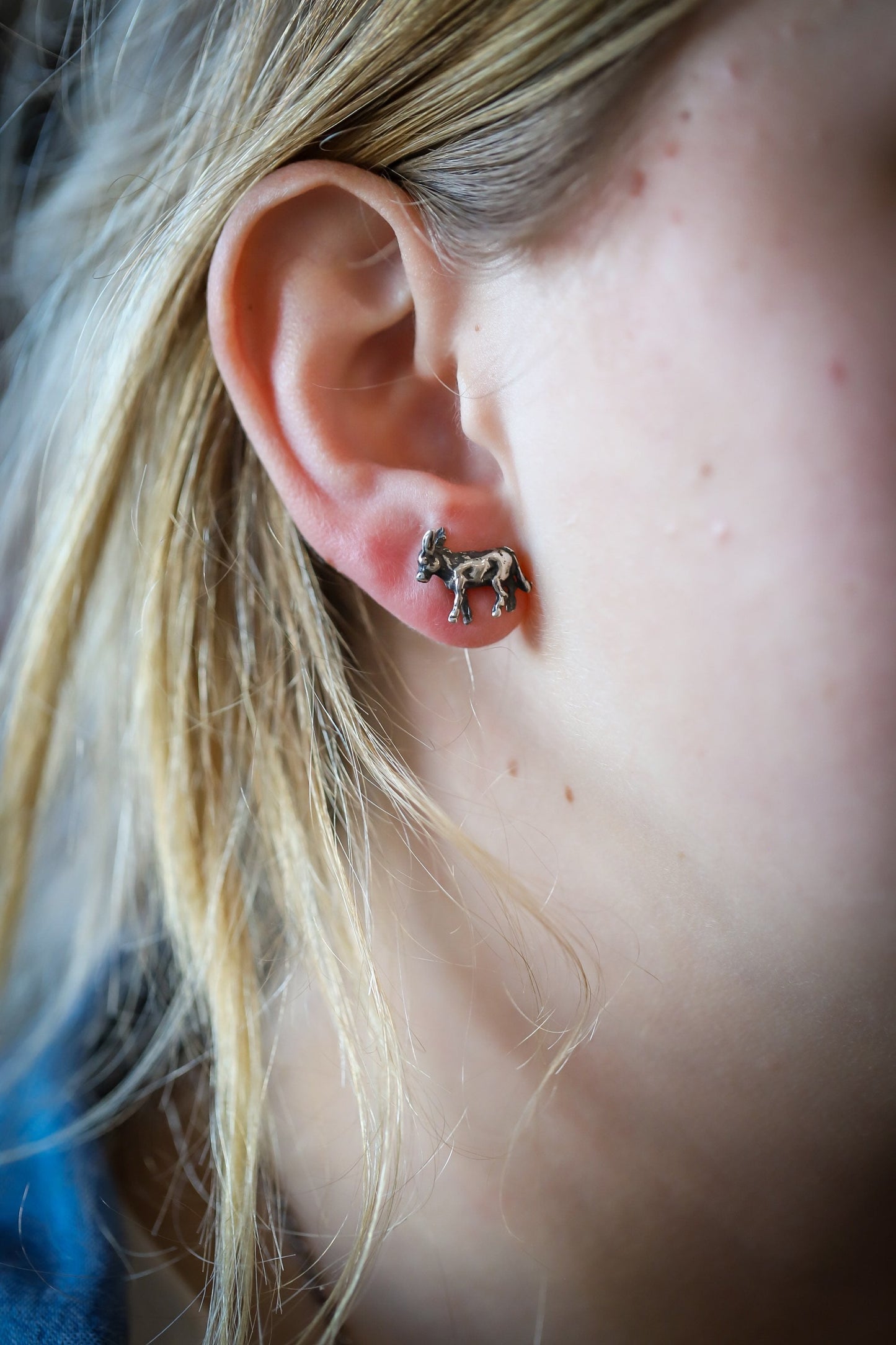 Burro Studs