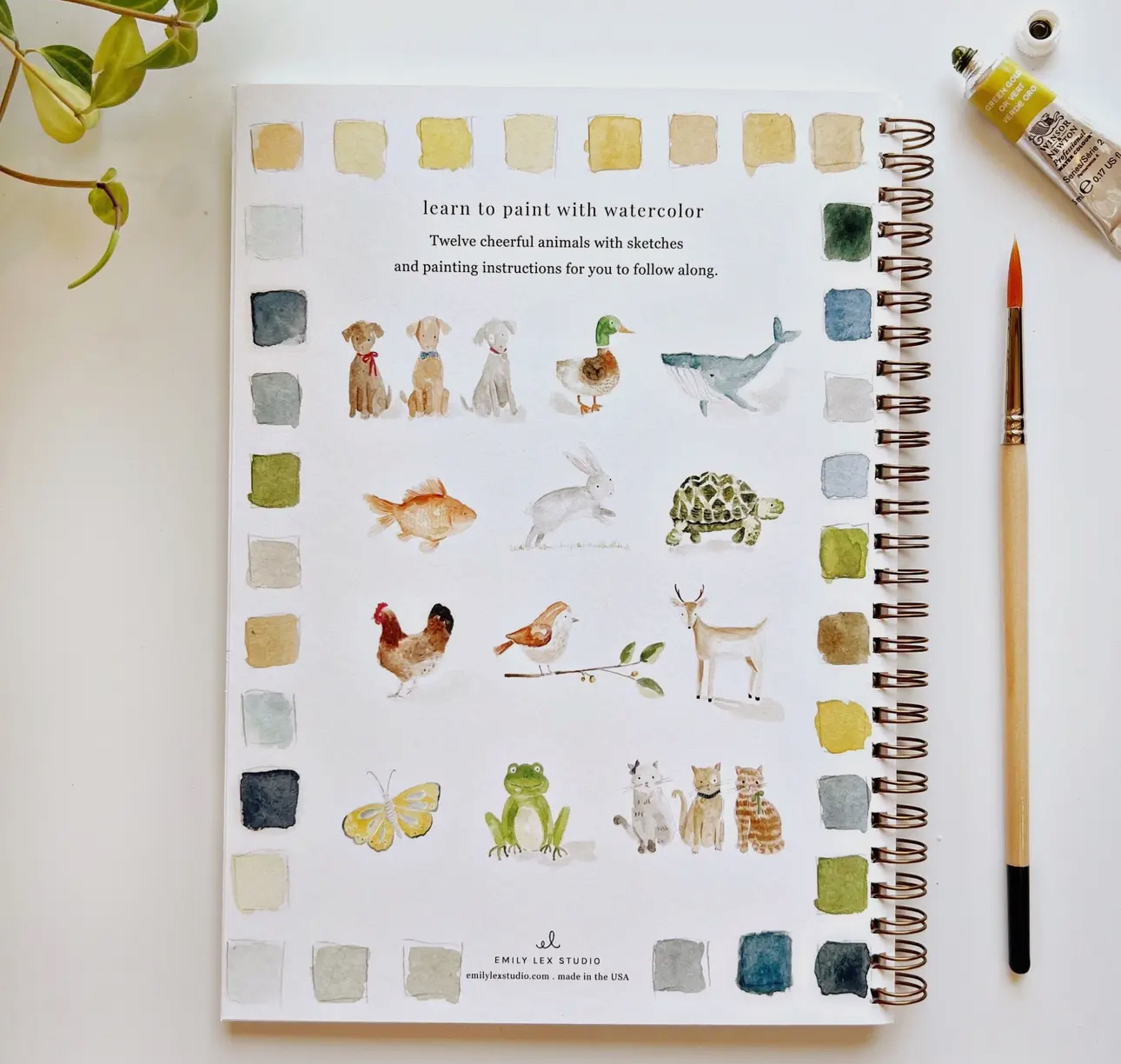 Watercolor Workbooks