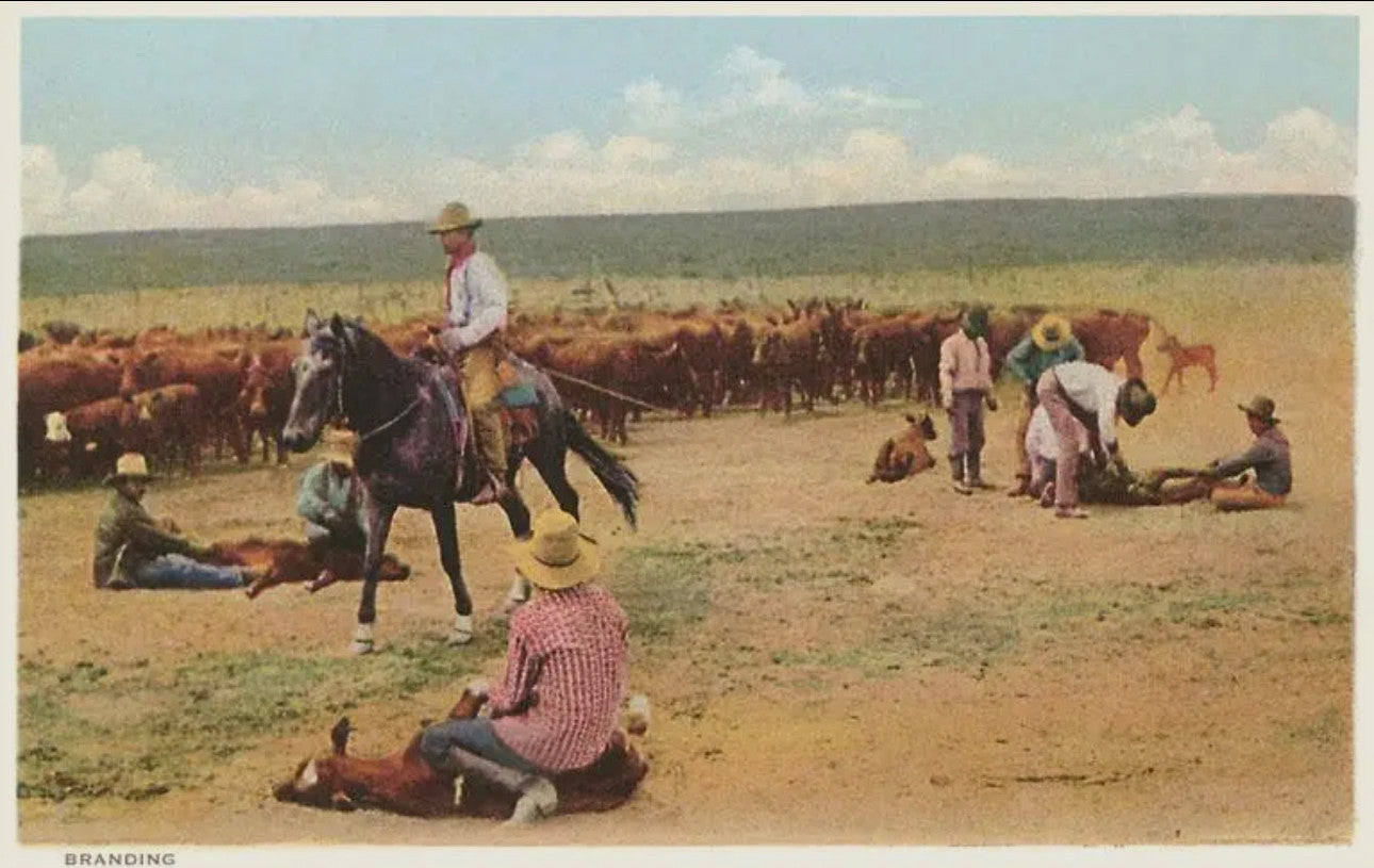 Western/Southwest Prints