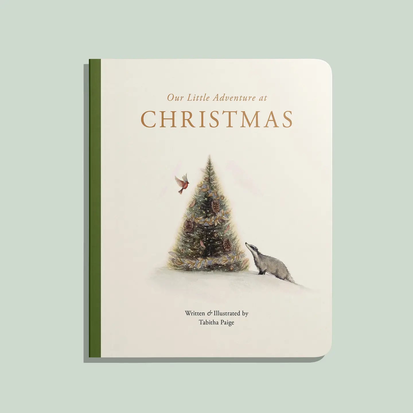 Our Little Adventure at Christmas- Board Book