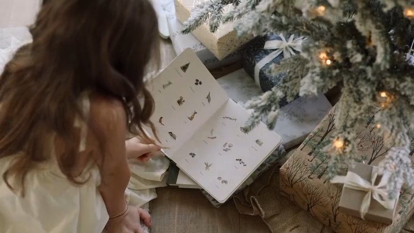 Our Little Adventure at Christmas- Board Book